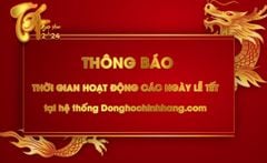 THÔNG BÁO THỜI GIAN HOẠT ĐỘNG CÁC NGÀY LỄ TẾT TẠI HỆ THỐNG Donghochinhhang.com