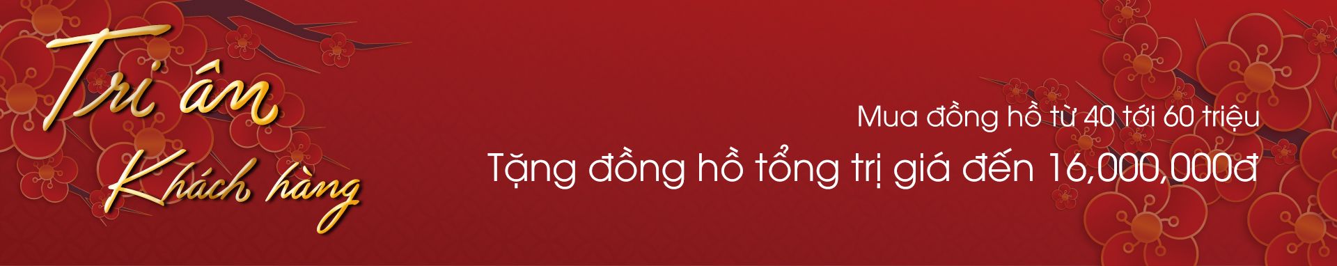 Tặng đồng hồ tổng trị giá đến 16 triệu khi mua đồng hồ từ 40 triệu - 60 triệu