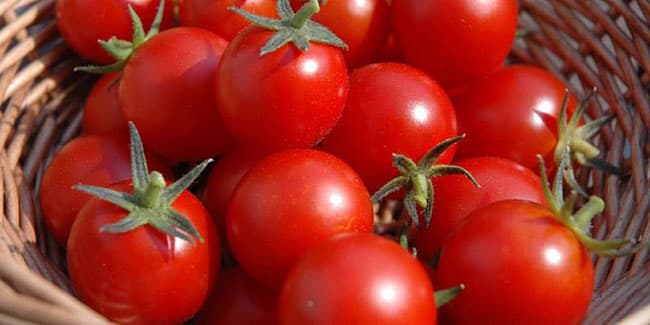 Cà chua bi là loại thực phẩm tốt cho sức khỏe.