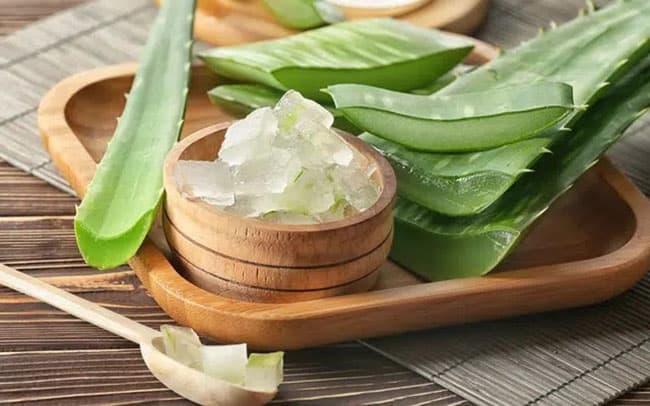 Nha Đam chứa nhiều vitamin và khoáng chất tốt cho bệnh tiểu đường.