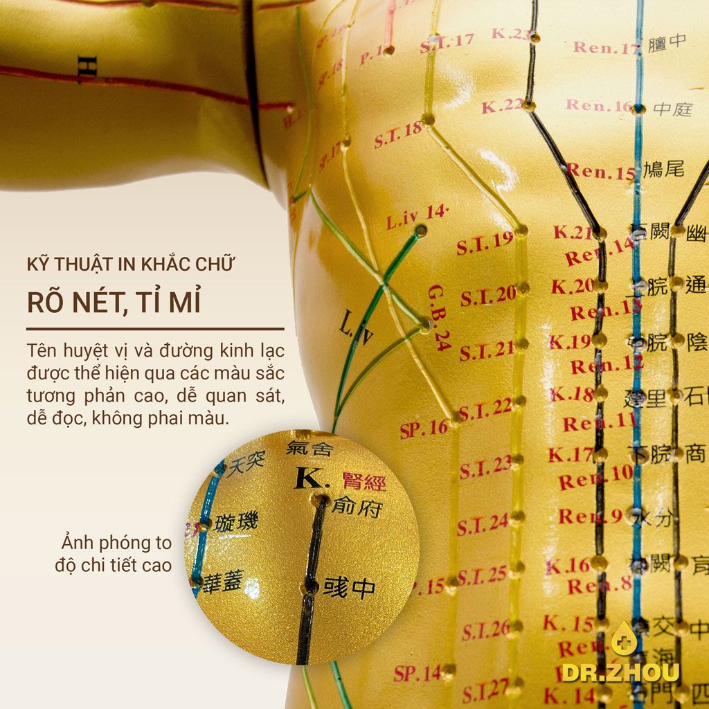 Tượng đồng Kinh Lạc Dr Kim Công Ty Tnhh Năng Lượng Pha Lê