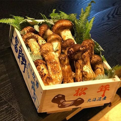 Matsutake mushroom – Loại nấm quý hiếm trong ẩm thực Nhật Bản