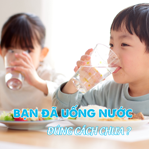 Thiết bị xử lý nước ion âm Dileka 80RS