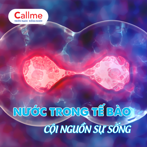 Thiết bị xử lý nước ion âm Dileka 80RS