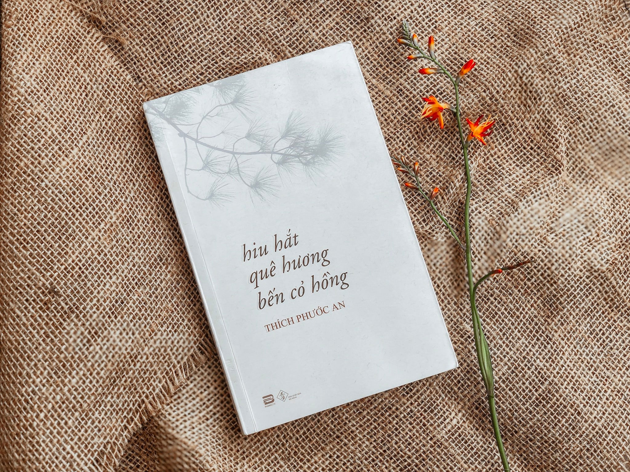 Về lại quê xưa, tìm bến cỏ hồng