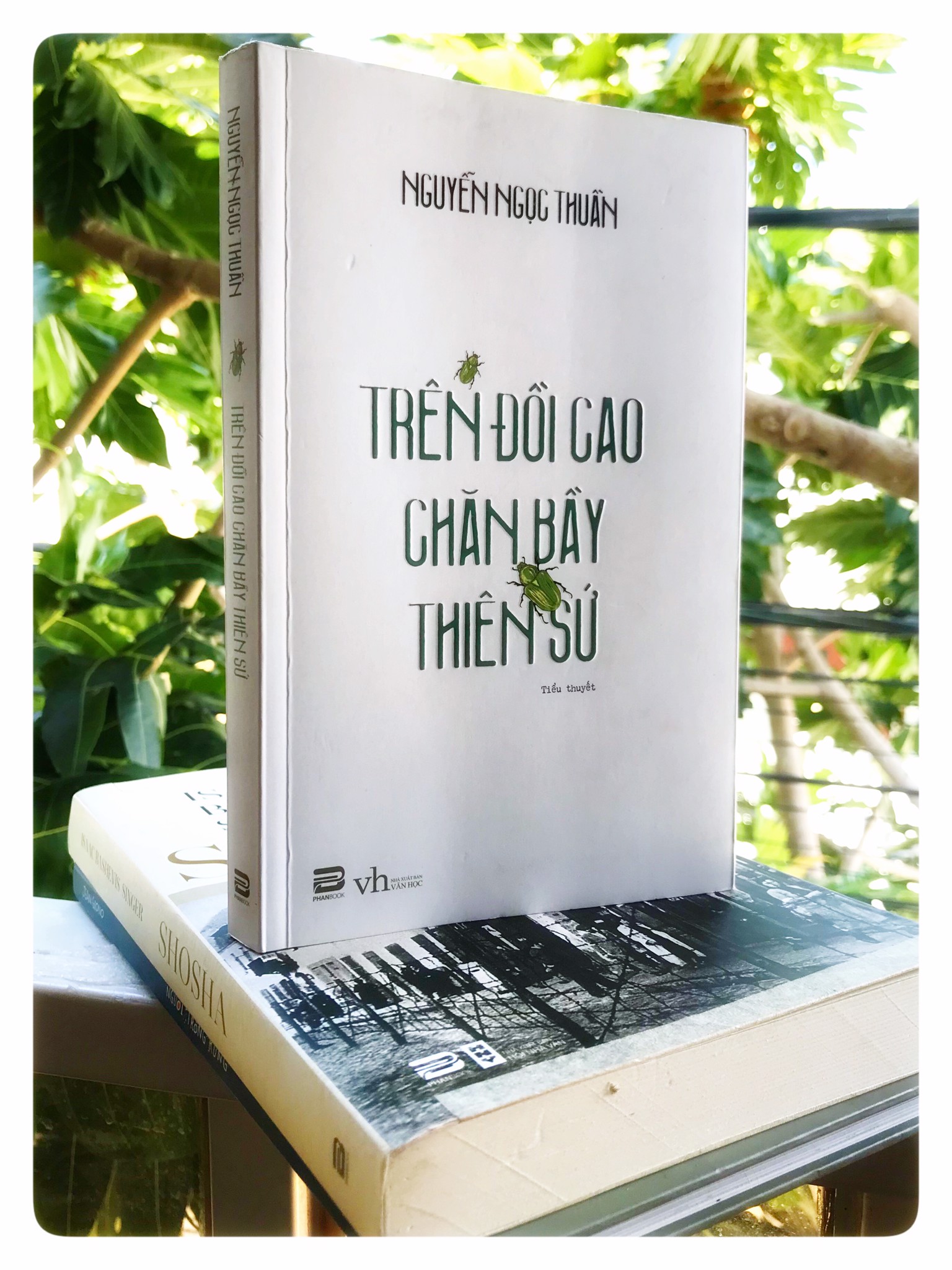 Trên đồi cao chăn bầy thiên sứ | Nguyễn Ngọc Thuần