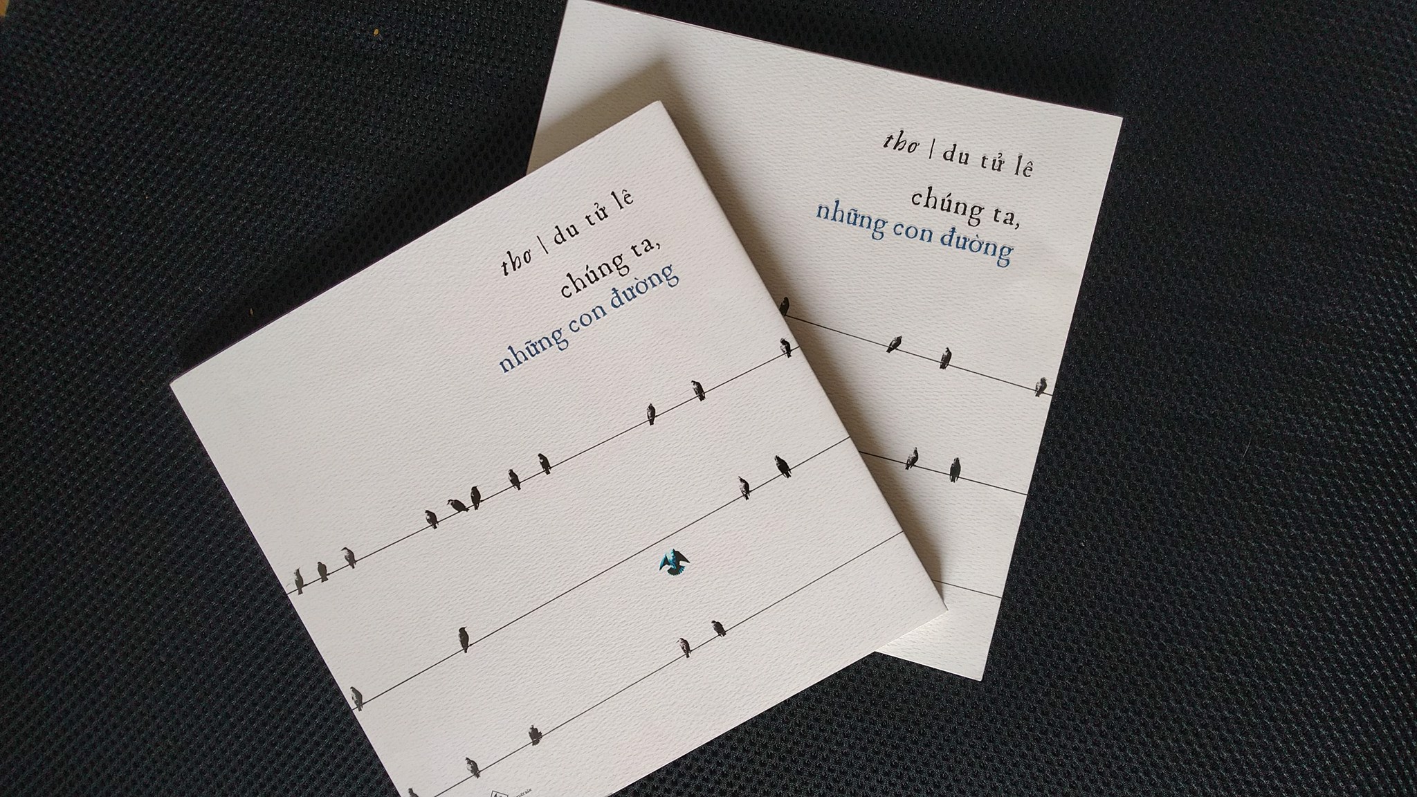 DU TỬ LÊ, CHÚNG TA, NHỮNG CON ĐƯỜNG