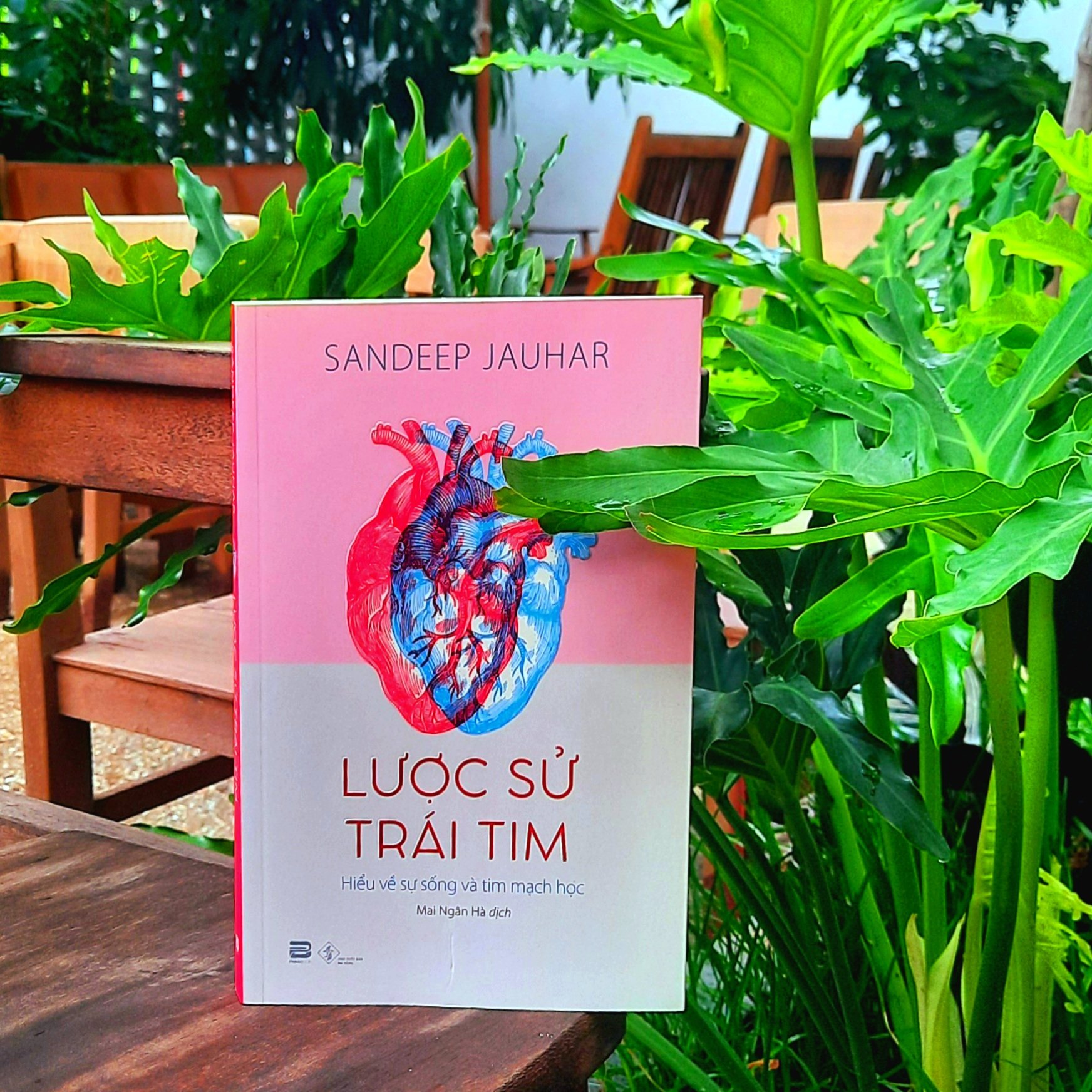 Lược sử trái tim | Sandeep Jauhar