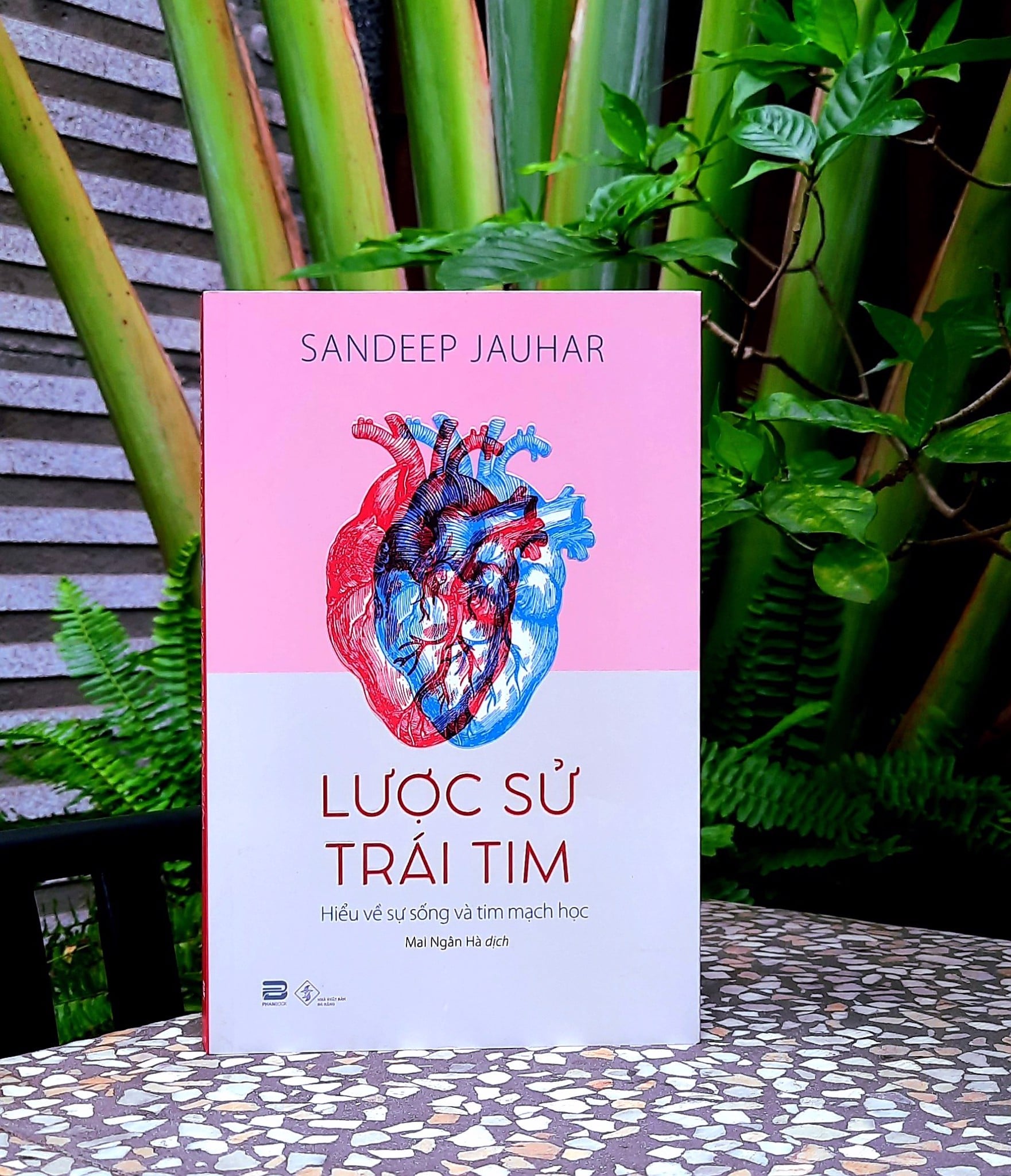 Lược sử trái tim | Sandeep Jauhar