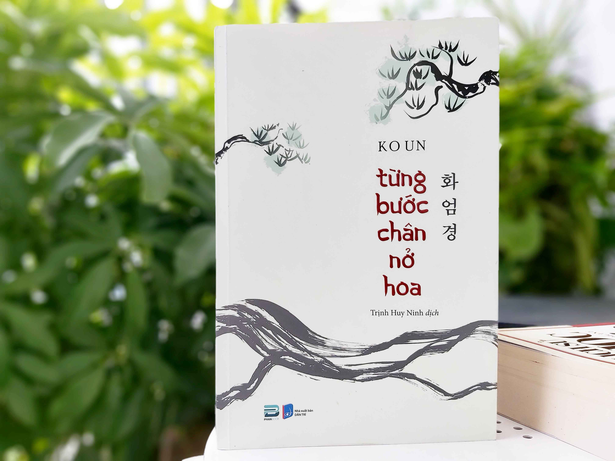 Từng bước chân nở hoa: Khi câu kinh bước tới