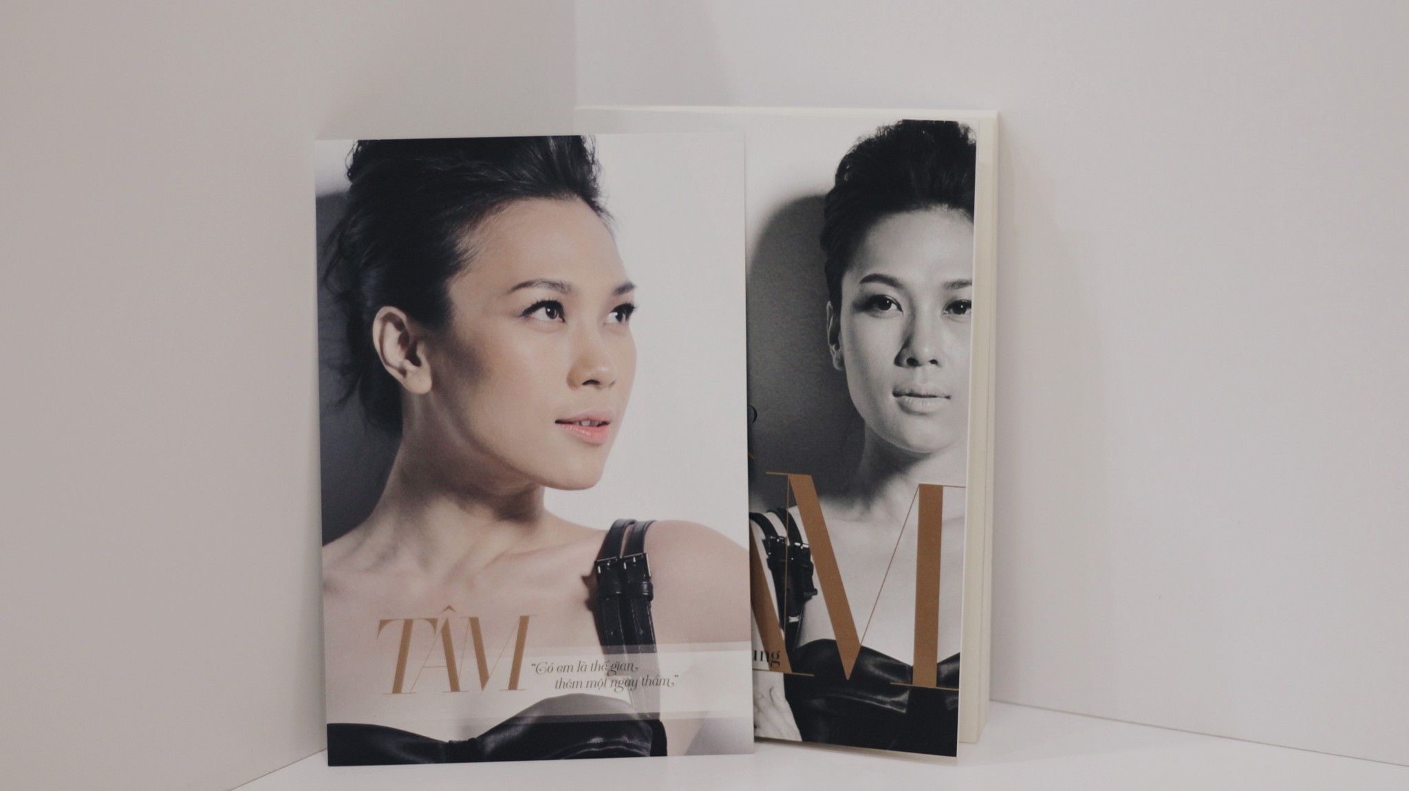 TÂM - Kỳ hai: Mỹ Tâm không muốn thành diva