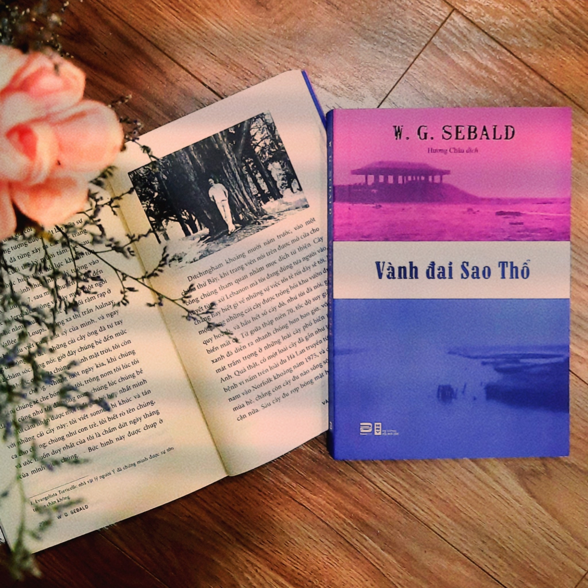 Vành đai Sao Thổ | W. G. Sebald