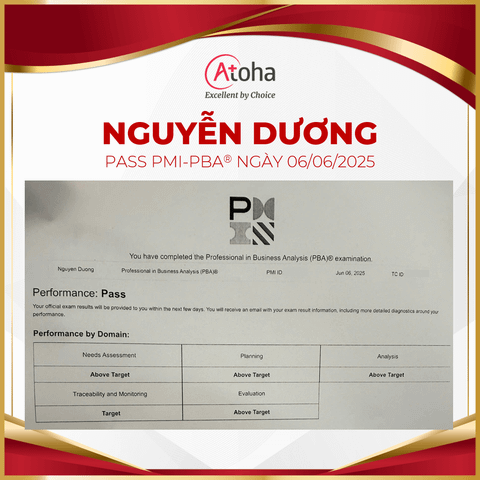 Nguyễn Dương, PMI-PBAONLINEPRO16, pass PMI-PBA ngày 06/06/2025