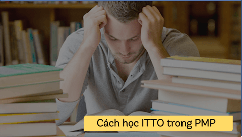 Cách học ITTO trong PMP®