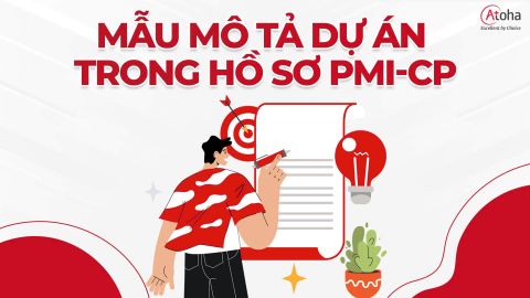 Mẫu mô tả dự án trong hồ sơ PMI-CP