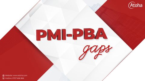 PMI-PBA Gaps