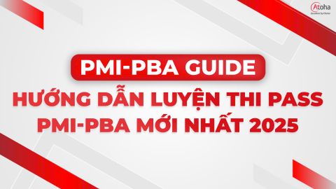 PMI-PBA® GUIDE - HƯỚNG DẪN LUYỆN THI PASS PMI-PBA® MỚI NHẤT 2025