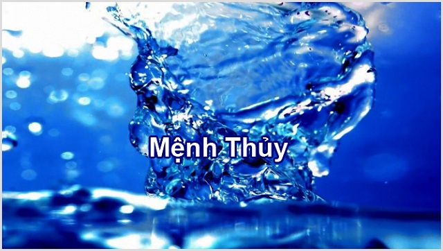 cây cảnh để bàn cho người mệnh thủy