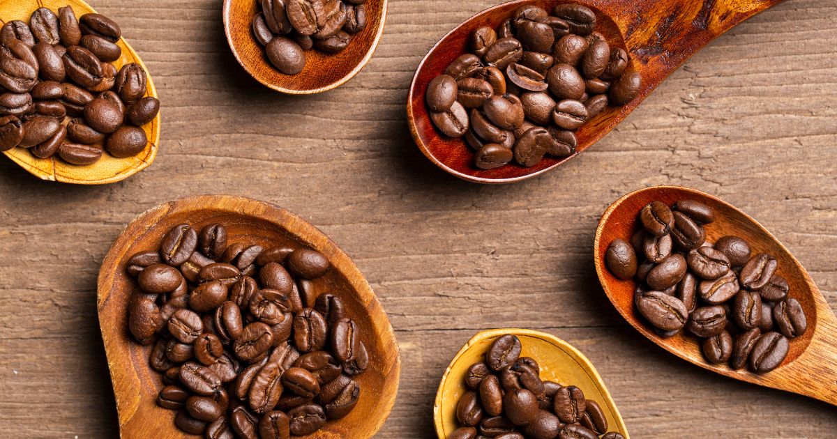 Cách nhận biết 6 giống cà phê độc đáo thuộc nhóm Arabica phổ biến hiện nay