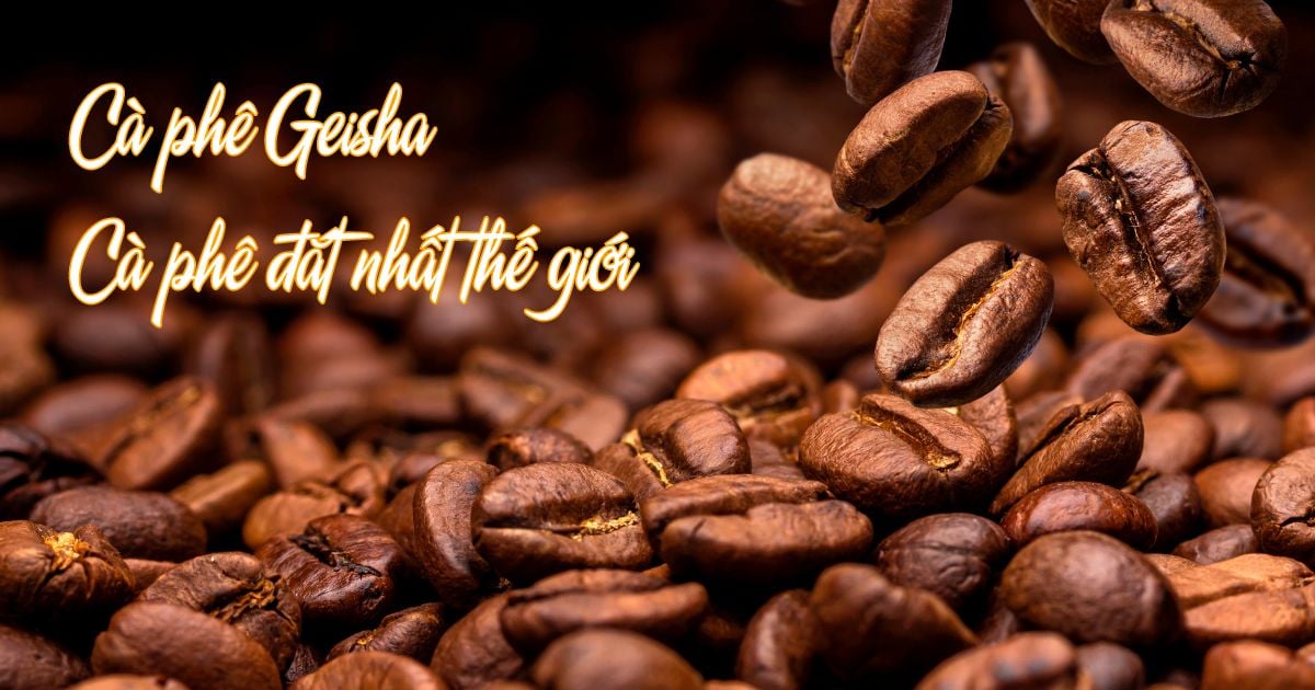 Lịch sử của cà phê Geisha - Một trong những loại cà phê đắt nhất thế giới