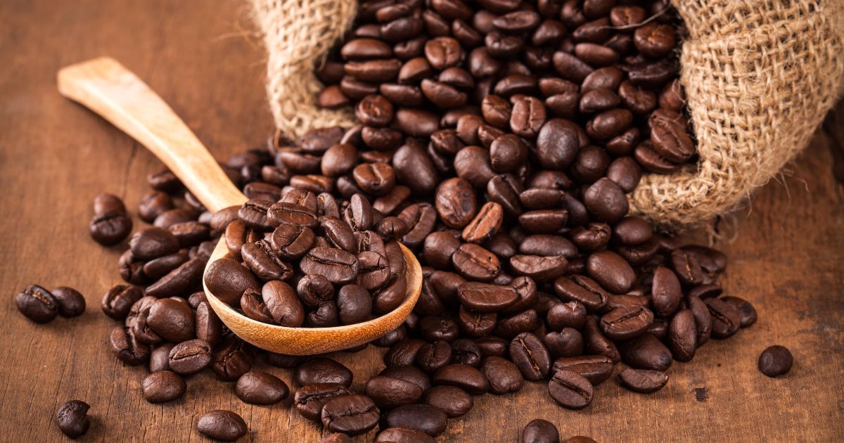 Đơn vị cung cấp cà phê nguyên chất uy tín trên toàn quốc - Phương Vy Coffee