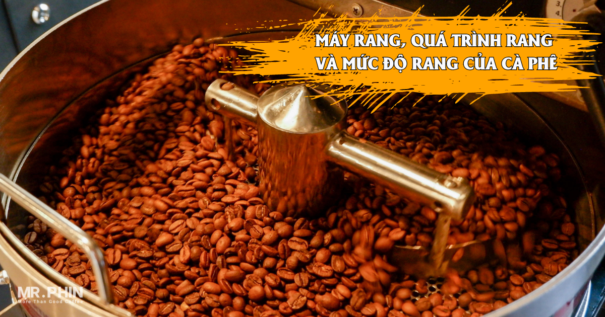 “TẤT TẦN TẬT” VỀ CÀ PHÊ ROBUSTA – MÁY RANG, QUÁ TRÌNH RANG VÀ MỨC ĐỘ RANG CỦA CÀ PHÊ