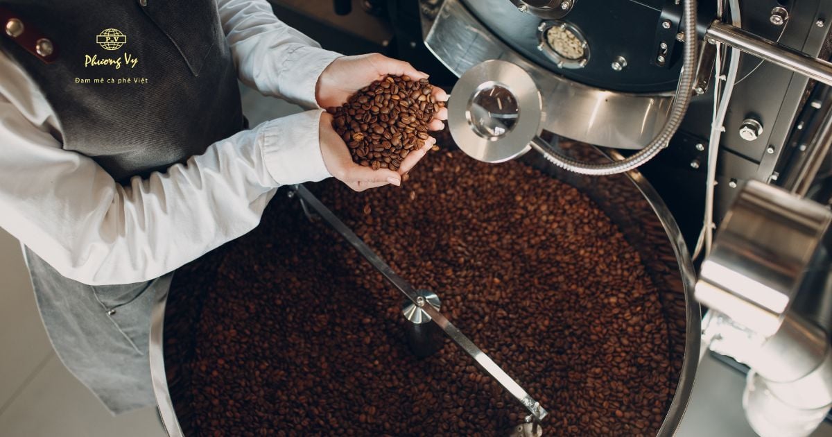 Khám phá quy trình sản xuất cà phê rang xay đúng chuẩn