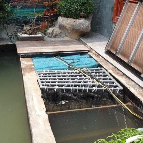 Cách vệ sinh hệ thống lọc hồ cá Koi đúng kỹ thuật