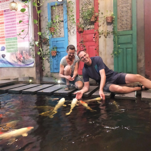Hướng Dẫn Cho Cá Koi Ăn: Các Bước Quan Trọng Bạn Không Nên Bỏ Qua