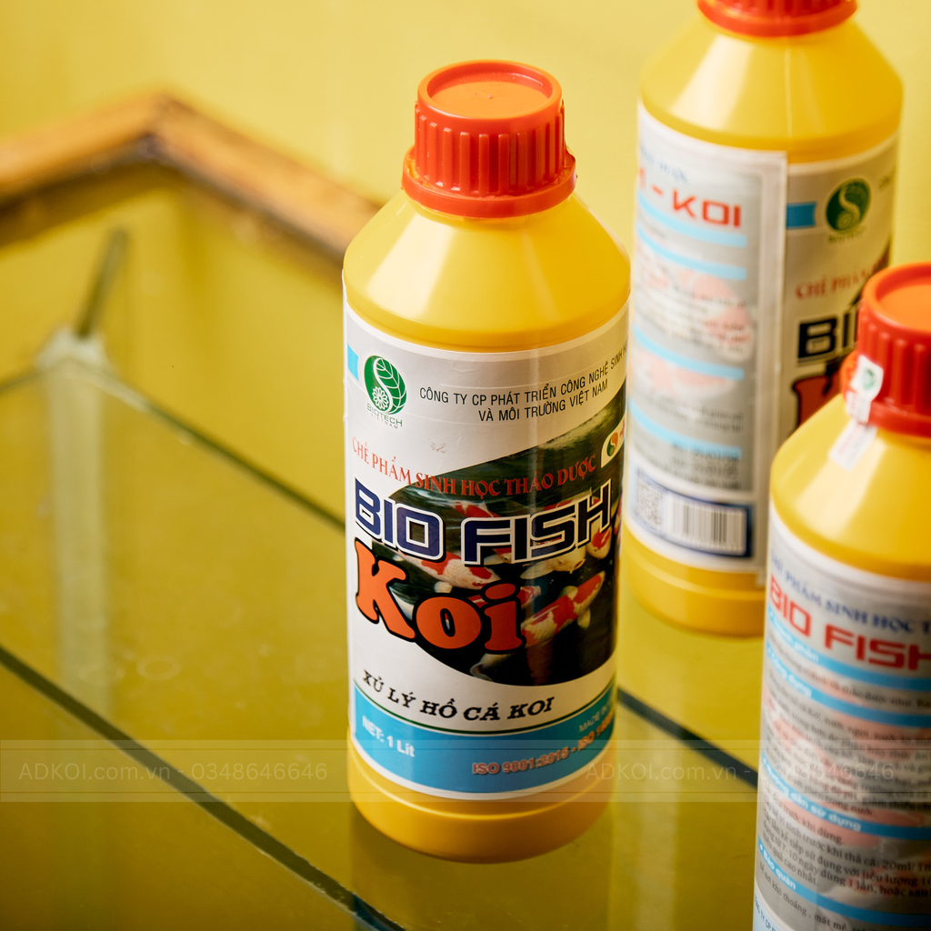 Có nên dùng thuốc đặc trị rêu tảo hồ cá? 0348646646 – CÔNG TY CỔ PHẦN ...