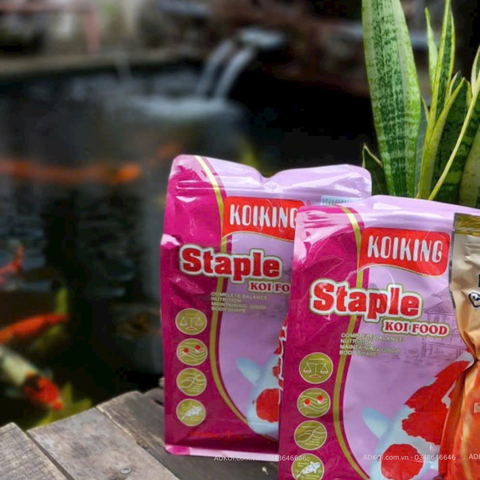 Những Bài Học Vỡ Lòng Khi Lần Đầu Chọn Cám Cá Koi