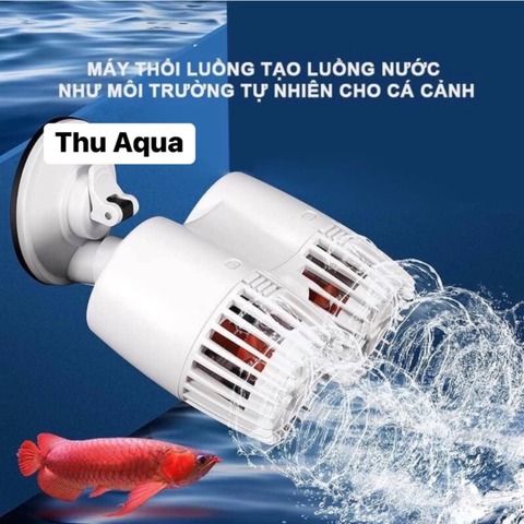 Có nên thổi luồng cho hồ cá không?