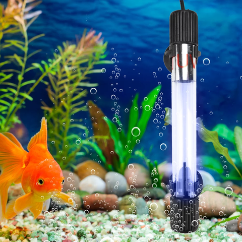 Lợi ích và tác hại khi sử dụng đèn UV liên tục cho hồ cá
