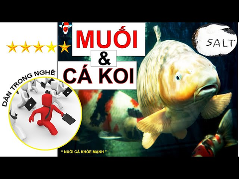 Duy trì tỷ lệ muối đúng cho hồ cá Koi – cách tính chuẩn xác nhất