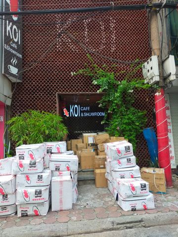Các hãng thức ăn uy tín cho cá KOI