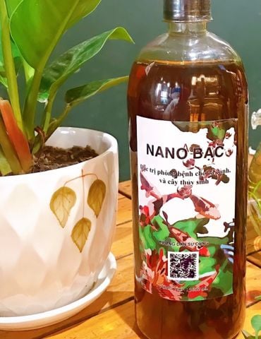 Thuốc phòng, trị nấm bệnh Nano Bạc cho cá Koi