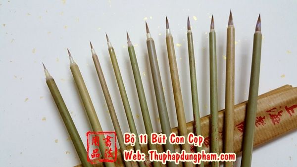 Bộ bút con cọp 11 cỡ