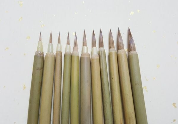 Bộ 11 chiếc bút lông hãng con cọp