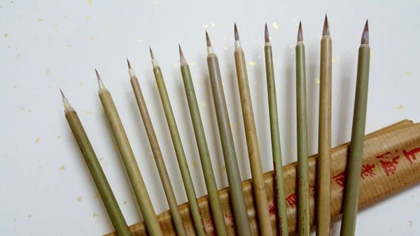 Bộ 11 chiếc bút lông hãng con cọp