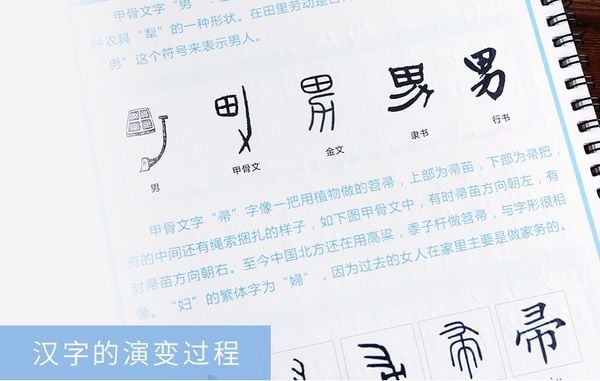 Bộ luyện thư pháp bút sắt, bút máy Nam Quốc Thư Hương