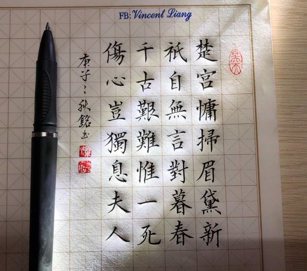 Bút Gel luyện chữ Hán, luyện thư pháp bút cứng ODEMEI – Thư Pháp ...