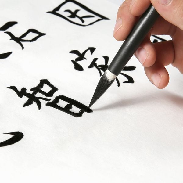 bút lông cho người mới học