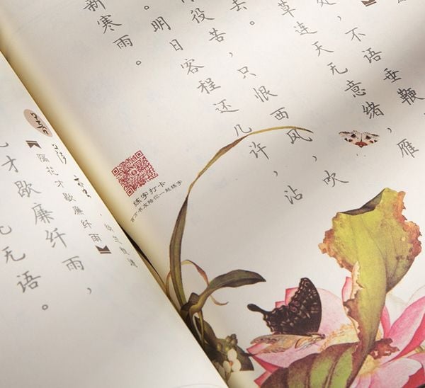 Bộ giáo trình luyện viết chữ Hán - Trâm Hoa Tiểu Khải