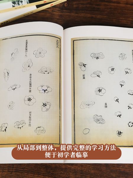 Giới tử viên hoạ phổ