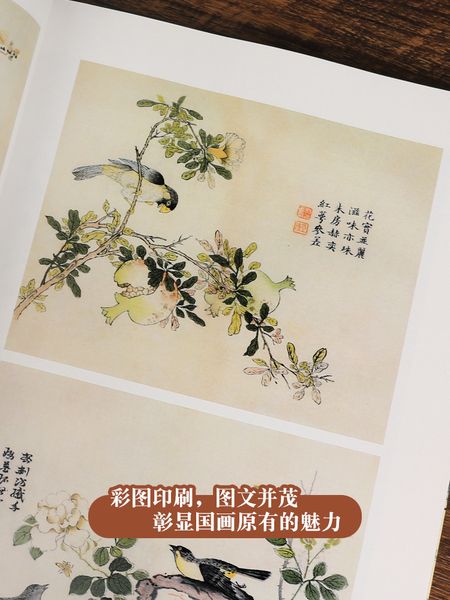 Giới tử viên hoạ phổ