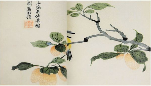 Giới tử viên hoạ phổ