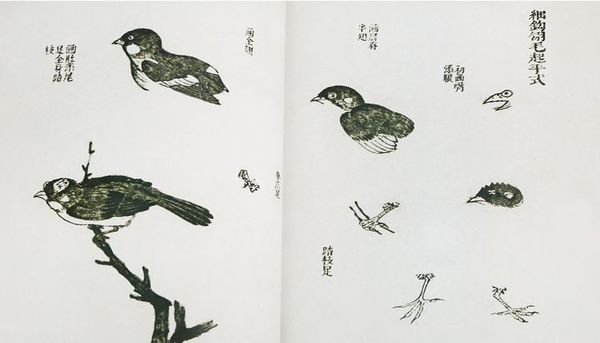 Giới tử viên hoạ phổ