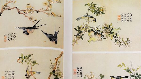 Giới tử viên hoạ phổ