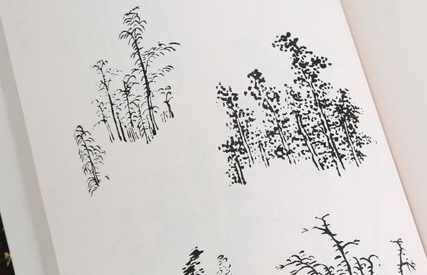 Giới tử viên hoạ phổ