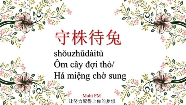 Tải miễn phí từ điển thành ngữ tiếng Trung